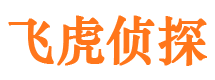 彭阳小三调查